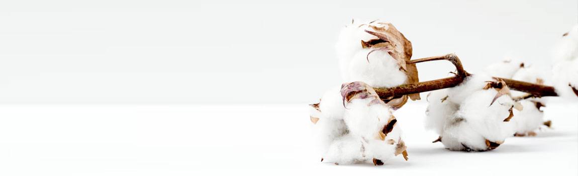 Baumwolle